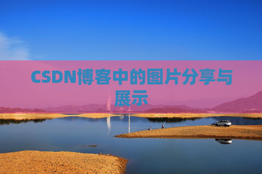 CSDN博客中的图片分享与展示